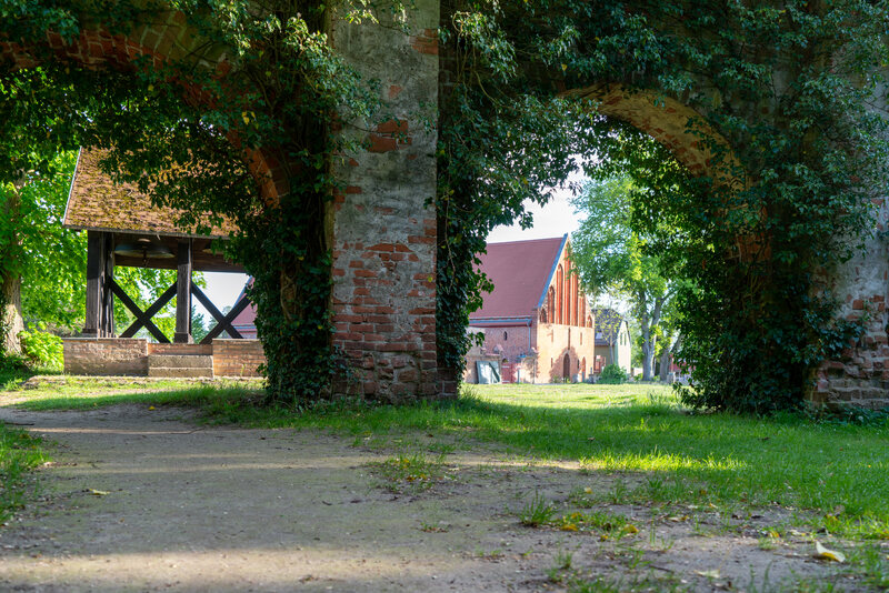 Brauhaus und Glockenstuhl von der Klosterruine gesehen 2024 (Photo: Peter Krajewsky)